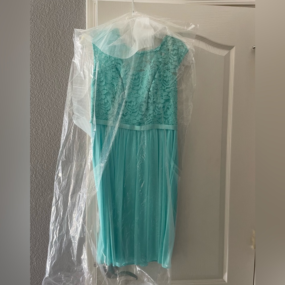 David’s bridal exclusive. New with tags